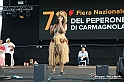 VBS_9134 - Fiera del Peperone di Carmagnola - Festa di Re Peperone e Bela Povronera